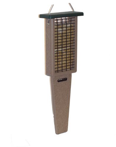Birds Choice 2-Cake Pileated Suet Feeder with Green Top
