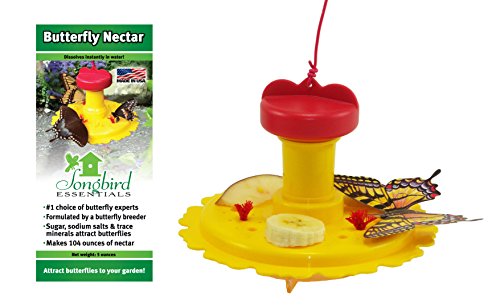 Songbird Essentials Butterfly Feeder and Nectar Combo