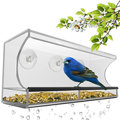 Nature's Hangout Window Bird Feeder with Removable Tray, Drain Holes and 3 Suction Cups, Large, Clear